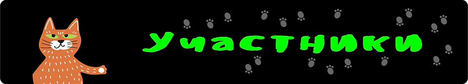 Партнёр программы 2