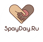SpayDay.Ru