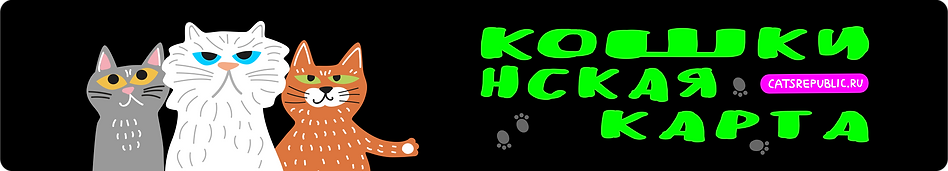 Партнёр программы 1