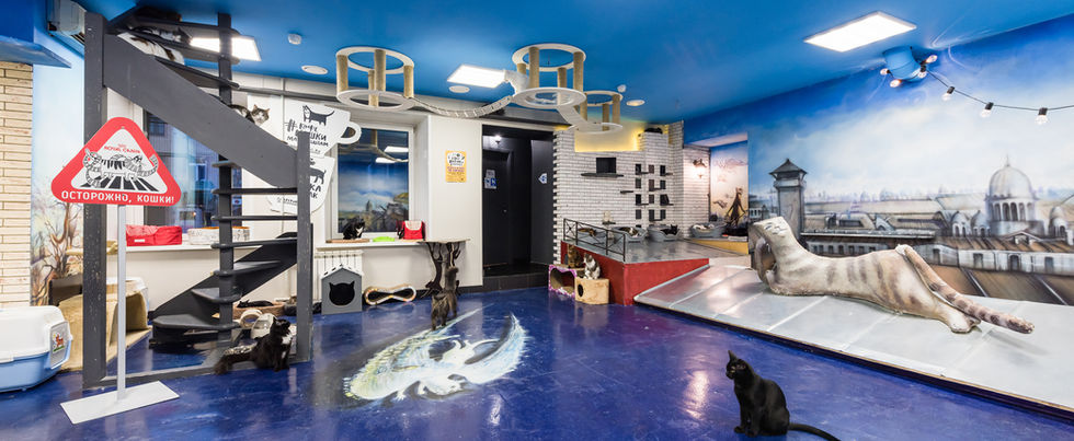 Республика котов — интерьер